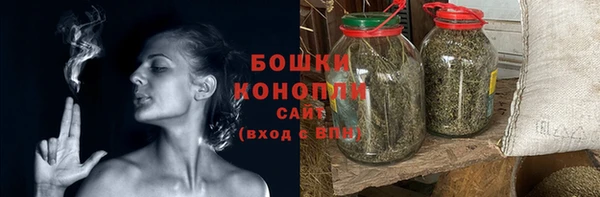 твердый Дмитровск