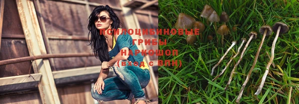 mix Алексин