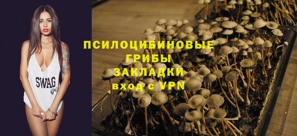 ешки Алексеевка