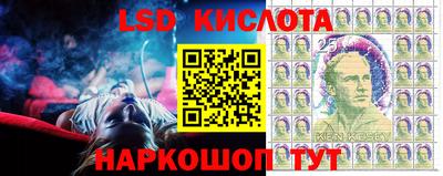 ПСИЛОЦИБИНОВЫЕ ГРИБЫ Свободный