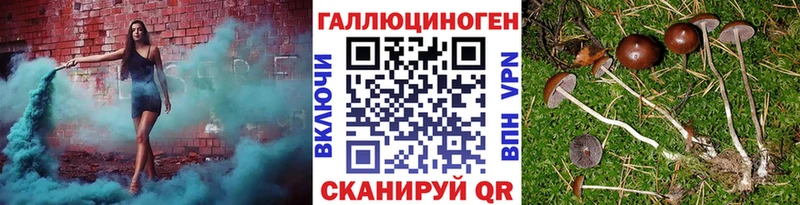 Галлюциногенные грибы Psilocybe  Сухой Лог 